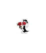 Avatar de Estelita