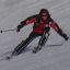 Avatar de nieve5